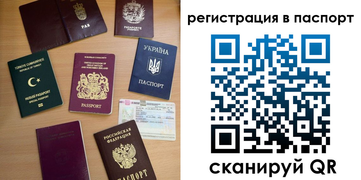 прописка поиск в Людиново